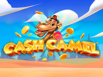 Cash Camel